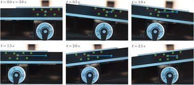 CFD modelling of a wave-mixed bioreactor with complex geometry and two degrees of freedom motion